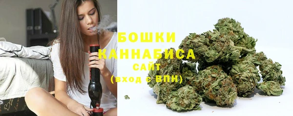 ECSTASY Богородицк